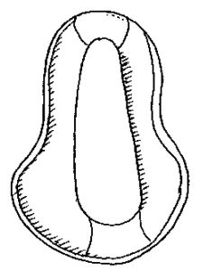 Full sweeney harness for horses